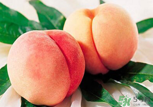 水蜜桃不能和什么一起吃？水蜜桃和什么不能一起吃？