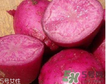 紅土豆是轉(zhuǎn)基因的嗎？紅土豆和正常土豆的區(qū)別