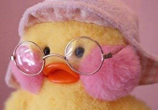 為什么叫玻尿酸鴨？cafemimi玻尿酸鴨名字的由來