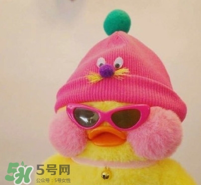 玻尿酸鴨是什么？cafemimi玻尿酸鴨為什么這么火