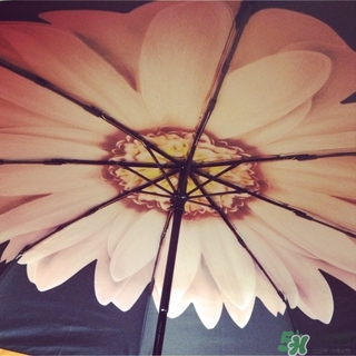 just mode是什么牌子？justmode摩登傘太陽傘怎么樣？