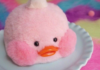 玻尿酸鴨哪里可以買到？一個(gè)玻尿酸鴨多少錢？