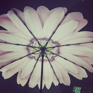 just mode是什么牌子？justmode摩登傘太陽傘怎么樣？