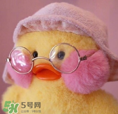 玻尿酸鴨是什么？cafemimi玻尿酸鴨為什么這么火