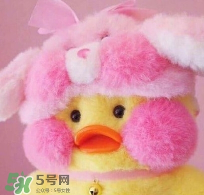 玻尿酸鴨是什么？cafemimi玻尿酸鴨為什么這么火