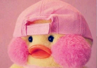 玻尿酸鴨是什么？cafemimi玻尿酸鴨為什么這么火