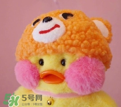 玻尿酸鴨是什么？cafemimi玻尿酸鴨為什么這么火