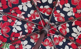 knirps是什么牌子？knirps太陽傘怎么樣？