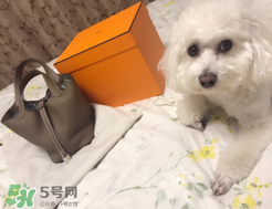 菜籃子包是什么牌子？菜籃子包是哪個品牌的？