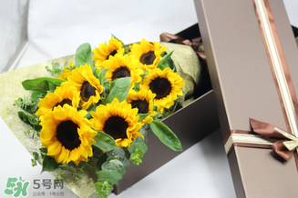 父親節(jié)可以送向日葵嗎？父親節(jié)送向日葵好嗎？