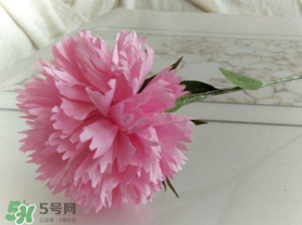 父親節(jié)可以送康乃馨嗎？父親節(jié)送康乃馨好不好？