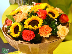 2017向日葵多少錢(qián)一朵？向日葵多少錢(qián)一支2017？