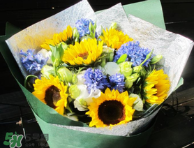 2017向日葵多少錢(qián)一朵？向日葵多少錢(qián)一支2017？