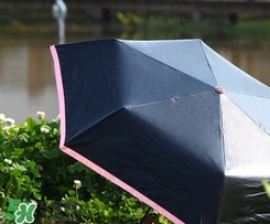 fasola是什么品牌？fasola太陽(yáng)傘怎么樣？