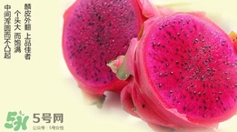 如何識(shí)別紅心火龍果？紅心火龍果怎么分辨