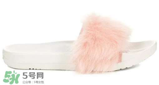 ugg royale小毛王拖鞋有哪幾種顏色？ugg小毛王拖鞋顏色有幾款？