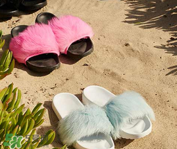 ugg royale小毛王拖鞋有哪幾種顏色？ugg小毛王拖鞋顏色有幾款？