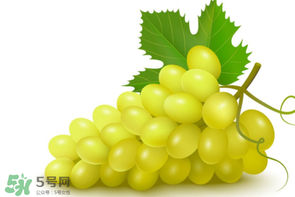 葡萄多少錢(qián)一斤？葡萄多少錢(qián)一斤2017？