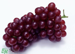 葡萄多少錢(qián)一斤？葡萄多少錢(qián)一斤2017？