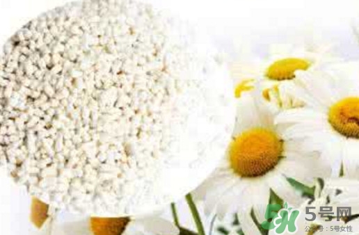 菊花晶是熱性還是涼性？菊花晶嬰兒可以喝嗎？