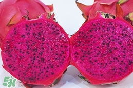 如何識(shí)別紅心火龍果？紅心火龍果怎么分辨