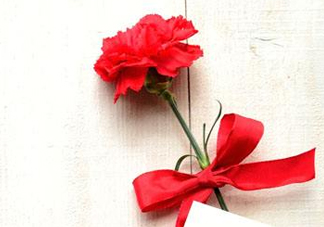 父親節(jié)可以送康乃馨嗎？父親節(jié)送康乃馨好不好？