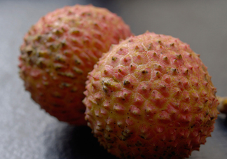 桂味荔枝和妃子笑哪個好吃？桂味荔枝和妃子笑區(qū)別