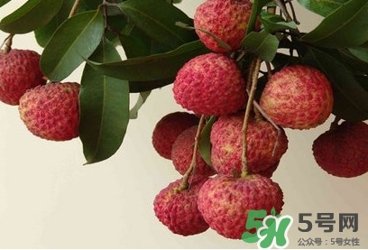 糯米糍荔枝多少錢一斤2017？糯米糍荔枝市場價格