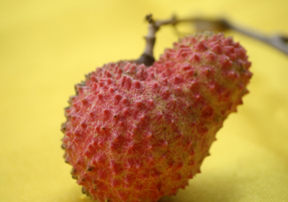 桂味荔枝多少錢一斤2017？桂味荔枝價格