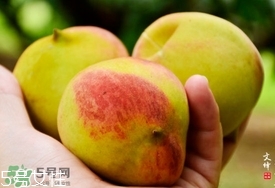 九仙桃什么時(shí)候成熟？九仙桃什么時(shí)候上市