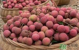 黑葉荔枝和白糖罌哪個(gè)好吃？黑葉荔枝和白糖罌區(qū)別