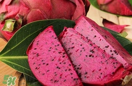 紅心火龍果為什么掉色？紅心火龍果為什么那么紅