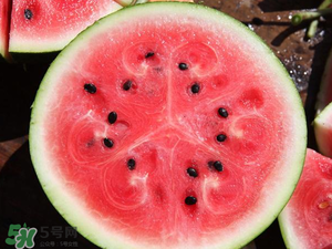 8424西瓜多少錢一斤 8424西瓜價格 8424西瓜多少錢一斤 8424西瓜價格