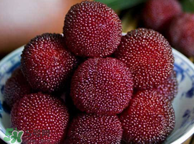 吃楊梅中毒是真的嗎？吃楊梅會中毒嗎？