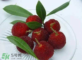 吃楊梅要洗嗎？楊梅要不要洗？