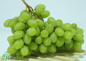 青提是涼性還是熱性？青提是酸性還是堿性？