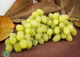 青提是涼性還是熱性？青提是酸性還是堿性？