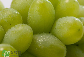 青提孕婦可以吃嗎？孕婦可以吃青提子嗎？