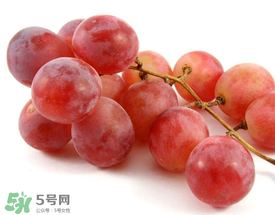 提子上的白色是什么？提子外面白色的是什么？