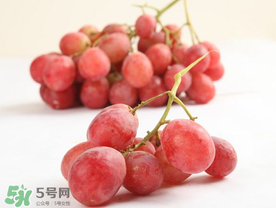 提子上的白色是什么？提子外面白色的是什么？