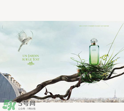 尼羅河花園適合什么人？尼羅河花園適合少女嗎？