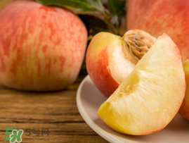 水蜜桃和牛奶可以一起吃嗎？牛奶和水蜜桃可以同時吃嗎？