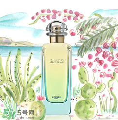 尼羅河花園適合什么人？尼羅河花園適合少女嗎？