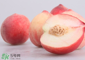 水蜜桃可以和酸奶一起吃嗎？水蜜桃酸奶的做法