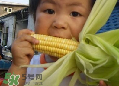 水果玉米是甜玉米嗎？水果玉米和甜玉米的區(qū)別