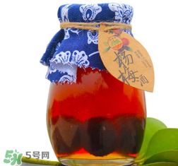 楊梅酒開(kāi)封后能存放多久？楊梅酒開(kāi)了能存放多久？