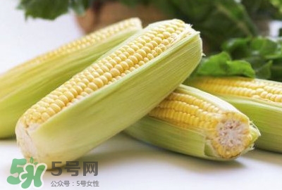 水果玉米可以多吃嗎？吃水果玉米有什么好處