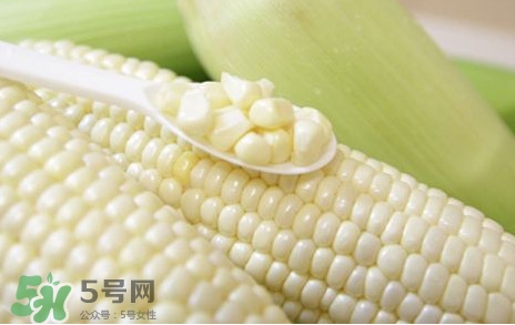 糯玉米是轉(zhuǎn)基因嗎？糯玉米是不是轉(zhuǎn)基因