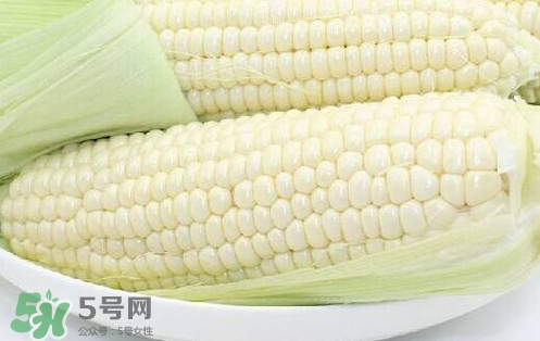 水果玉米多少錢一斤2017？水果玉米市場(chǎng)價(jià)格