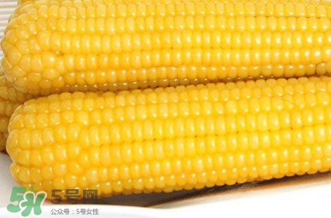 糯玉米是轉(zhuǎn)基因嗎？糯玉米是不是轉(zhuǎn)基因
